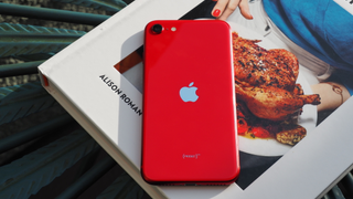 iOS 14 Beta Hints Smaller iPhones Are Back on the Menu